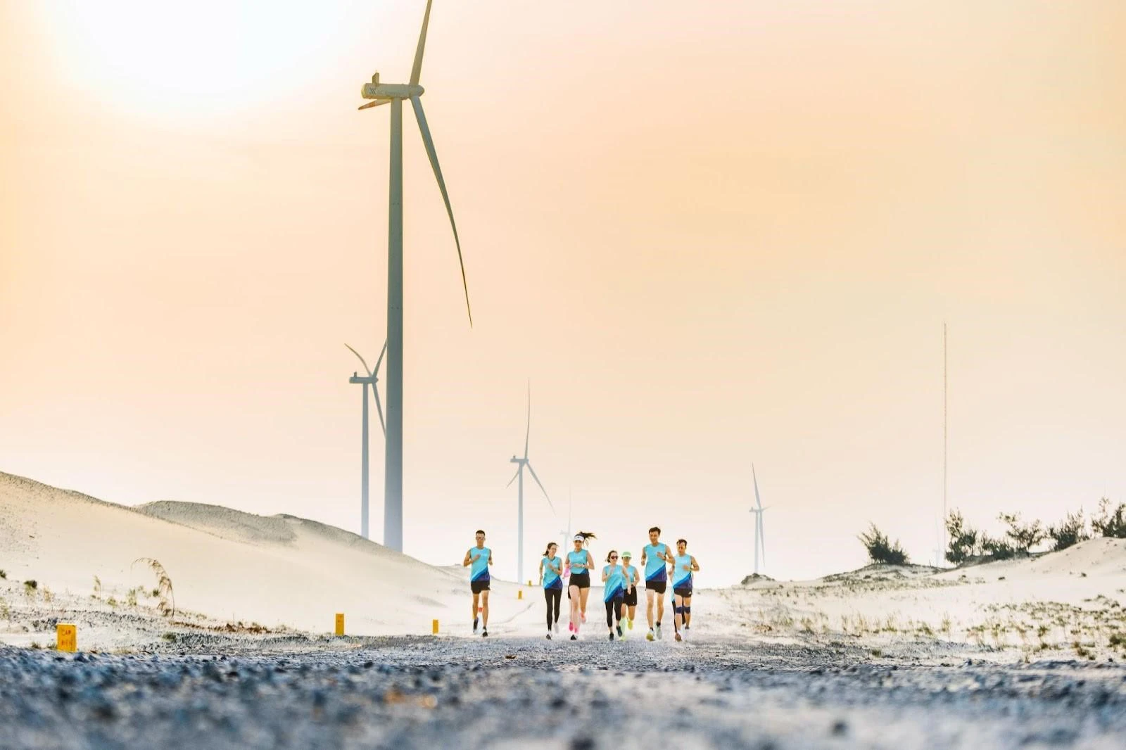Coteccons Quảng Bình Marathon 2022: trải nghiệm chạy cực chất xuyên qua cánh đồng điện gió lớn nhất tại Việt Nam