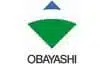 Obayashi Corporation 1.Jpg